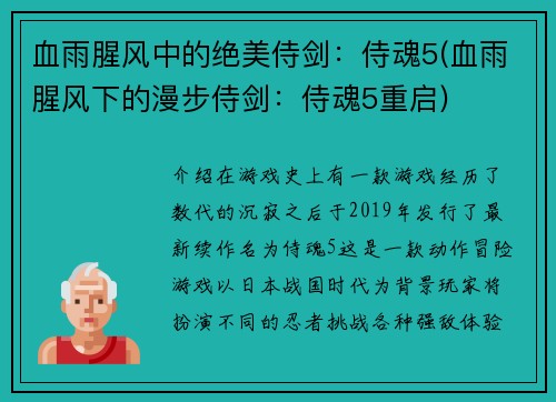 血雨腥风中的绝美侍剑：侍魂5(血雨腥风下的漫步侍剑：侍魂5重启)